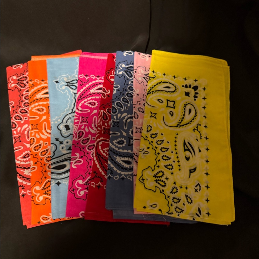 Colorful Paisley Bandana Set